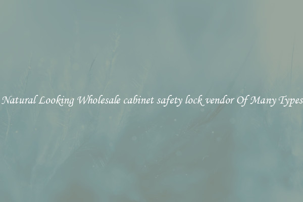 Natural Looking Wholesale cabinet safety lock vendor Of Many Types