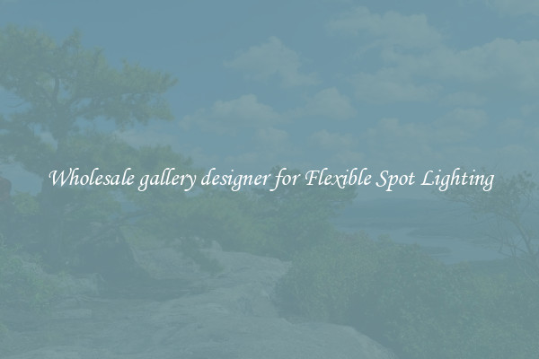 Wholesale gallery designer for Flexible Spot Lighting