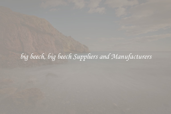 big beech, big beech Suppliers and Manufacturers
