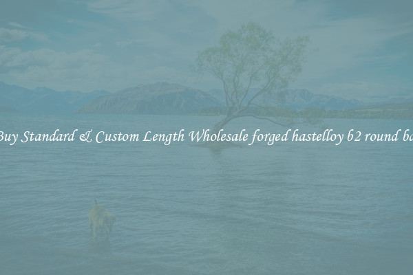 Buy Standard & Custom Length Wholesale forged hastelloy b2 round bar