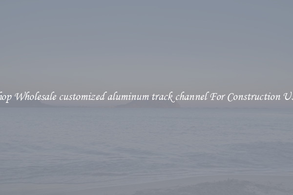 Shop Wholesale customized aluminum track channel For Construction Uses