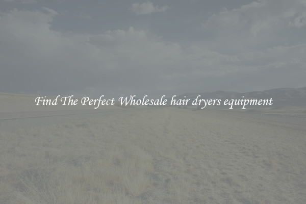 Find The Perfect Wholesale hair dryers equipment
