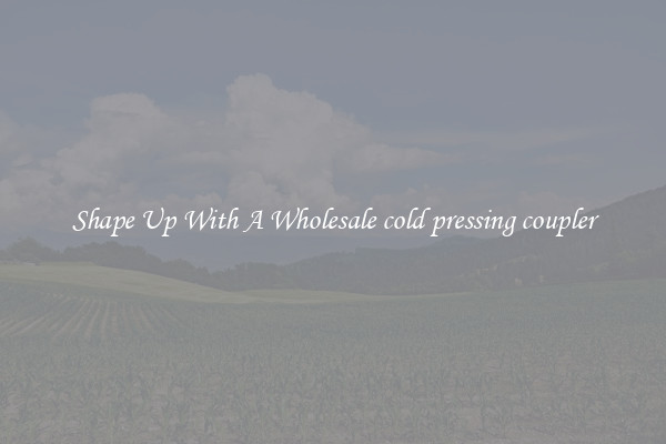 Shape Up With A Wholesale cold pressing coupler