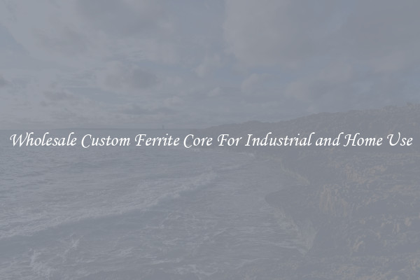 Wholesale Custom Ferrite Core For Industrial and Home Use