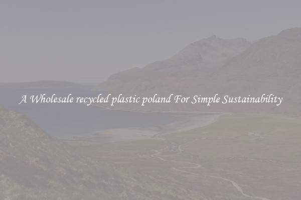  A Wholesale recycled plastic poland For Simple Sustainability 