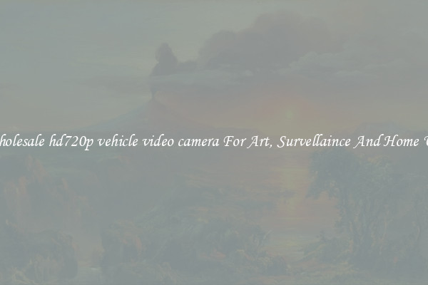 Wholesale hd720p vehicle video camera For Art, Survellaince And Home Use