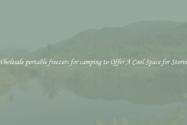 Wholesale portable freezers for camping to Offer A Cool Space for Storing