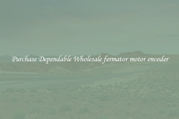 Purchase Dependable Wholesale fermator motor encoder