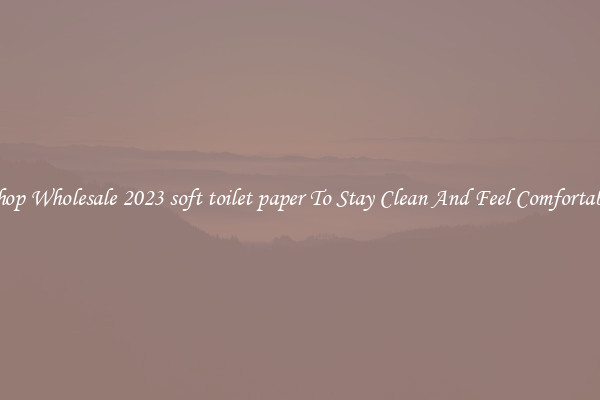 Shop Wholesale 2023 soft toilet paper To Stay Clean And Feel Comfortable
