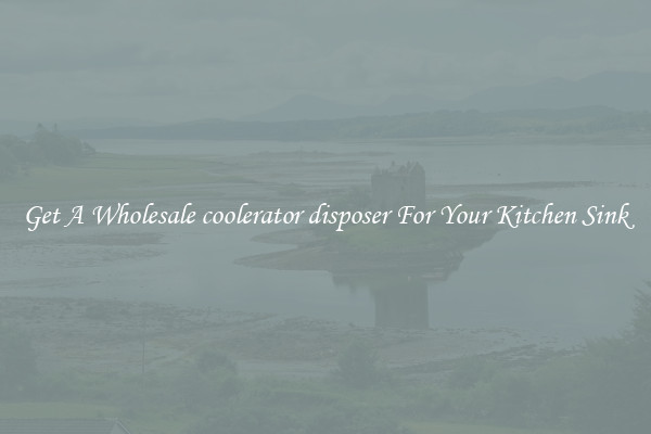 Get A Wholesale coolerator disposer For Your Kitchen Sink