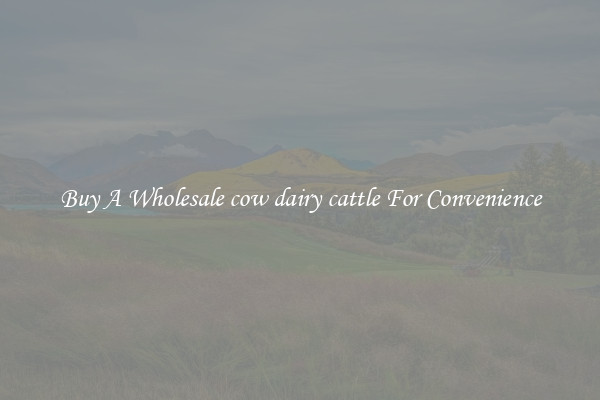 Buy A Wholesale cow dairy cattle For Convenience