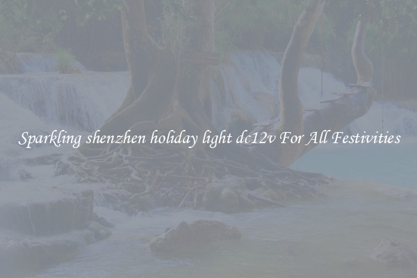 Sparkling shenzhen holiday light dc12v For All Festivities