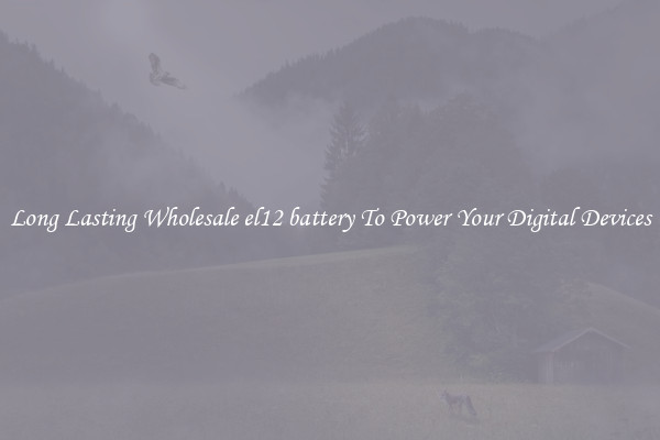 Long Lasting Wholesale el12 battery To Power Your Digital Devices