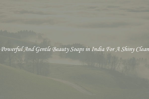 Powerful And Gentle Beauty Soaps in India For A Shiny Clean
