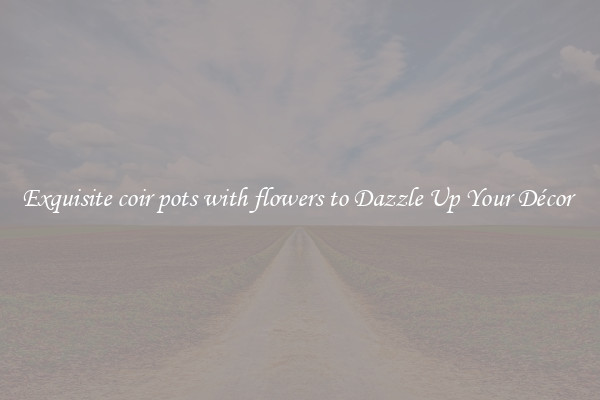 Exquisite coir pots with flowers to Dazzle Up Your Décor 