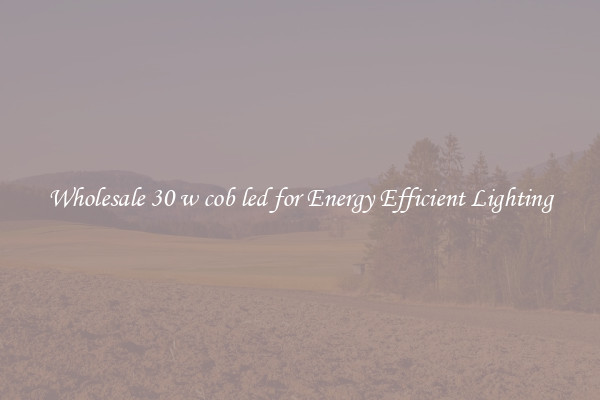 Wholesale 30 w cob led for Energy Efficient Lighting