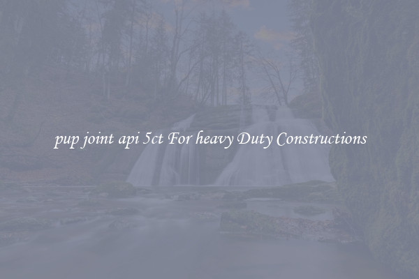 pup joint api 5ct For heavy Duty Constructions