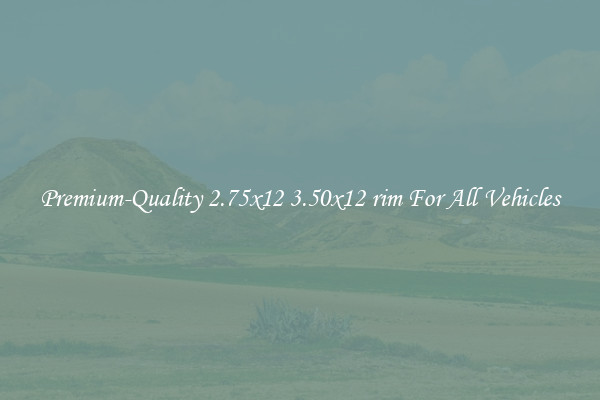 Premium-Quality 2.75x12 3.50x12 rim For All Vehicles