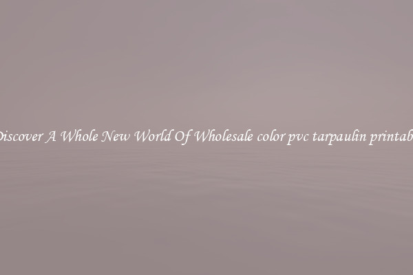 Discover A Whole New World Of Wholesale color pvc tarpaulin printable