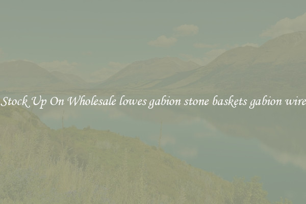 Stock Up On Wholesale lowes gabion stone baskets gabion wire