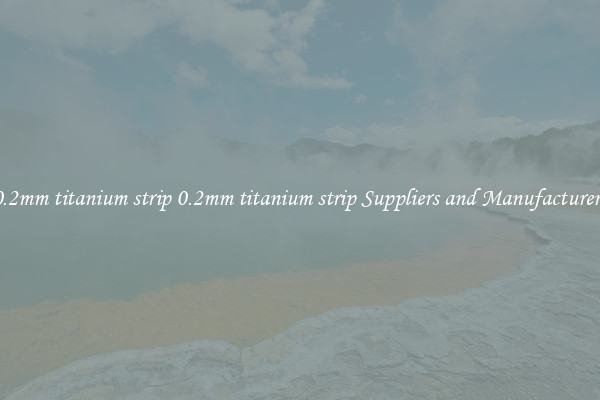0.2mm titanium strip 0.2mm titanium strip Suppliers and Manufacturers