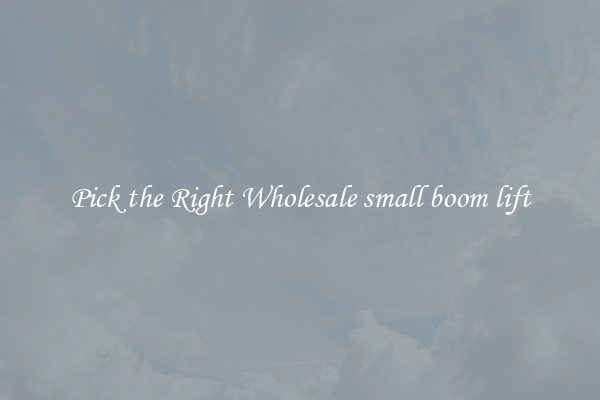 Pick the Right Wholesale small boom lift