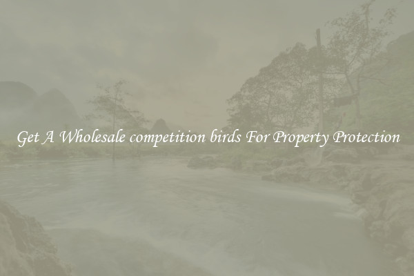 Get A Wholesale competition birds For Property Protection