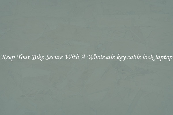 Keep Your Bike Secure With A Wholesale key cable lock laptop