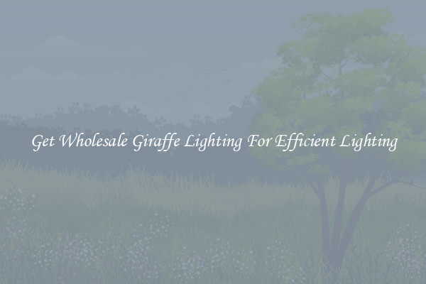 Get Wholesale Giraffe Lighting For Efficient Lighting