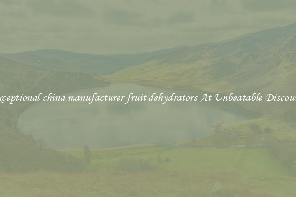 Exceptional china manufacturer fruit dehydrators At Unbeatable Discounts
