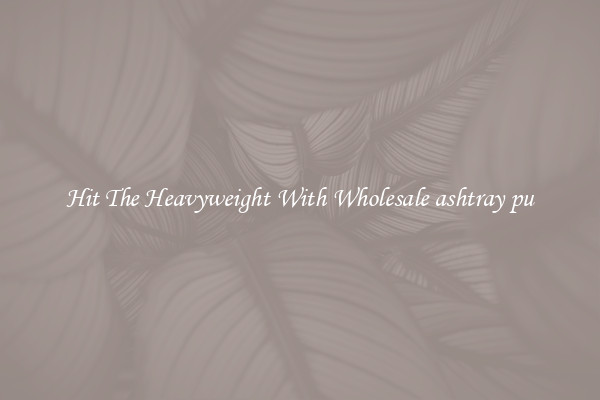 Hit The Heavyweight With Wholesale ashtray pu